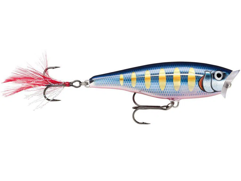 Rapala Skitter Pop 7cm