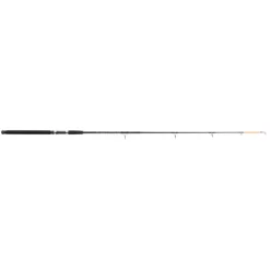 Mitchell Rod Catch 2.10m 100/200gram