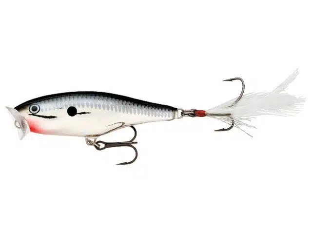 Rapala Skitter Pop 7cm - Afbeelding 4