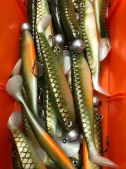 Delalande Shad GT Montée